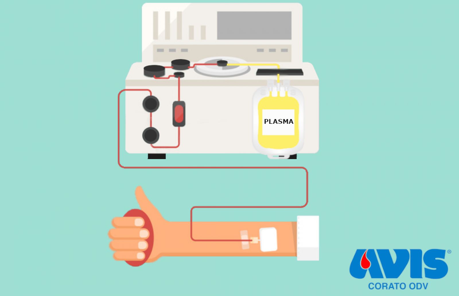 EMERGENZA PLASMA! - RACCOLTA STRAORDINARIA POMERIDIANA DI PLASMA GIOVEDI' 29 OTTOBRE