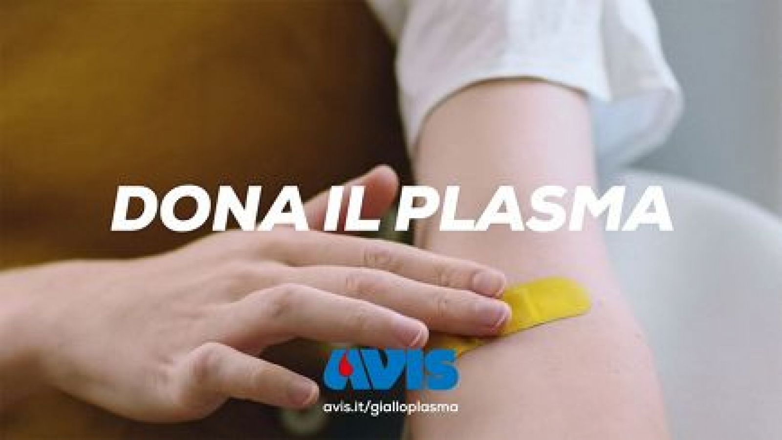 COMING SOON: NUOVA RACCOLTA STRAORDINARIA DI PLASMA IN TRASFERTA AL C.T. DI MOLFETTA